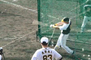 阪神佐藤輝明の打球ｗｗｗｗｗｗｗｗｗｗｗｗｗｗｗｗｗｗｗｗｗｗｗｗ
