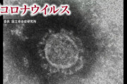 もしかして、コロナ全スルーして普通に生活してた方が良かったんじゃね？