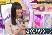 ドライヤーを選ぶ遠藤さくらが可愛いすぎる 【乃木坂46】