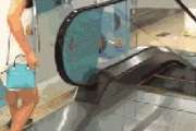 【観覧注意】中国人さん、エスカレーターの乗り方がヤバ過ぎる【gif】
