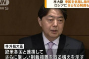 林「ヤダナー、日中友好議連だから中国批判しないなんてある訳ないじゃないですかー」〜　【国際】林外相「中国はロシアを批判していない」と名指し批判