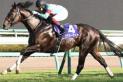 【スプリンターズＳ完勝】ピクシーナイト　次走は香港へ