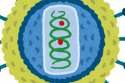 コロナワクチンに暗雲、HIV擬陽性が相次ぐ、原料のエイズウイルスが原因か