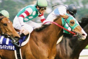 日本の競走馬の名前の歴史