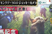 ドウデュース（武豊騎手）のジョッキーカメラ