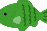 何で人気があるのか分からない魚がこちらｗｗｗｗｗｗｗｗｗｗｗ