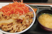 【画像】ワイが牛丼に乗せる紅生姜の量って多い？