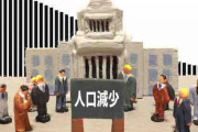 『少子化』の理由って結局なんなの？？？ 「金がないから」 とか言うけど貧乏な国のほうが出生率高いよな