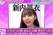 【乃木坂46】46時間TVであつ森企画(*´∀｀*)