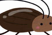 【悲報】ゴキブリがめっちゃくつろいでて笑う(´･ω･`)