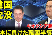 何しても死。 【韓国】半導体企業の効率性、日本に抜かれ4位に転落  [動物園φ★]