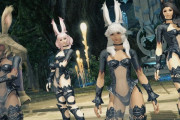 【FF14】ことあるごとにヴィエラと比較してくる相方に反論したらブチギレられた話