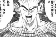 【話題】ラディッツ襲来～ベジータ戦～ナメック星へ～ギニュー特戦隊～フリーザ戦～超サイヤ人←単行本10冊分【ドラゴンボール】