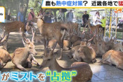 【奈良】「シカずるい…」涼を求めて奈良のシカが“ミストを占拠”　近畿では観測地点の７割が猛暑日に