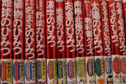 【悲報】2chねらー、お年玉に歴史漫画を渡す