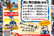 【速報】釣った魚の買い取り額が凄いと話題に！現代のトレジャーハンターぞwww海には宝が泳いでる