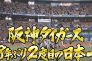 【2023/11/5 日本シリーズ B1-7T】阪神、38年ぶりの日本一
