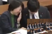 【動画】議員さん、国会内でイチャつきだしてしまう・・・