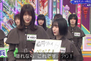 欅坂の福岡姉妹がｺﾚに見えて仕方ない件ｗｗｗｗ