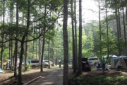 【高山市】一色の森キャンプ場【動画】森林浴で日頃の疲れを癒すことができます♪