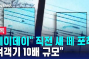 済州航空機事故直前の映像撮られていた…「機体の10倍規模、巨大な鳥の群れと衝突推定」[1/5]