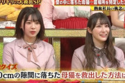 【日向坂46】富田鈴花、置物と化す