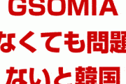 韓国政府「GSOMIAなくても安保協力に問題ない」「TISAのアップグレードも難しい」　終わったな…