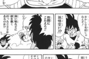 【ドラゴンボール】これって悟空と同じような前例があったんだろうな