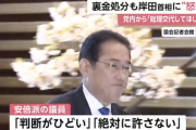 【悲報】裏金処分された安倍派議員「絶対に許さない」「判断がひどい」党内から「総理を交代してほしい」