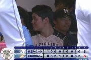 【日本ハム対ヤクルト練習試合】日本ハムが６－３でヤクルトに勝利！ドラ１河野が４回１失点！中田と清宮に一発！ヤクルトは村上が二試合連続弾！