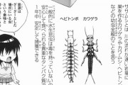 WHO「昆虫食を始めないと地球の資源は持ちません。みなさん昆虫をたべてください」