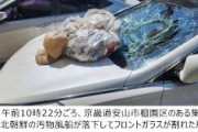 【糞争地帯】北朝鮮うんこ風船は計1000個飛来…韓国全土で車の破損被害続出、仁川空港にも落下し離着陸3回中止　ソウル市106カ所で発見「汚物風船は重さが5キログラム以上」