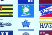 日本プロ野球が２リーグ制にしてる理由wwywwywwywwywwywwy