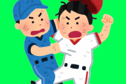 埼玉西武ライオンズのOB戦で乱闘が！？　“アメリカで日本のプロ野球が見れたらなぁ”　【海外の反応】