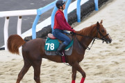 7/10(日)小倉新馬、ラッキーライラックの全弟シリンガバルガリス等有力馬多数デビュー