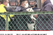 ヤクザさん、犬を抱っこしたまま警察とケンカしてしまう