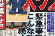 【悲報】日刊ゲンダイさん、ロジハラしてしまう