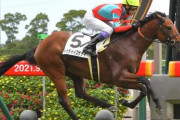 【競馬予想】第8回ラジオNIKKEI杯京都2歳ステークス(G3) / 2021