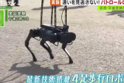 AI搭載の4足歩行ロボットが世界遺産「平城宮跡歴史公園」をパトロール…設備の異変などチェック！