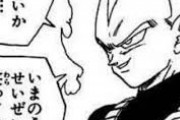 【ドラゴンボール】悟空｢ベジータは強く育ちそうだから殺された仲間の恨みは忘れて見逃してほしい｣←これｗｗｗｗｗｗｗｗｗｗｗｗｗ