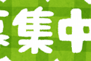 【急募】クレジットカード申し込んだんだけど、ごめんこれどういうこと？？