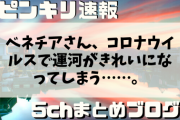 【朗報】ベネチアさん、コロナウイルスで運河がきれいになってしまう……。