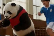 中国人「サッカー日本代表MFが2年間の猛アプローチをかけた相手」　中国人「800年アプローチしても無理」「金金金金金金」