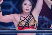 【画像】今の女子プロレスエチ過ぎるｗｗｗｗｗｗｗｗｗｗｗｗｗ