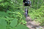なぜ登山に犬を連れて行くのか…SFTSでなくとも野生動物からの共通感染症のリスクは高まるのに