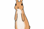 ウサギ飼いたいと思ってるんだけどどう？
