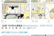 【悲報】ツイフェミ、今度はマルちゃん正麺の漫画に激怒「洗い物を妻にやらせるな！」