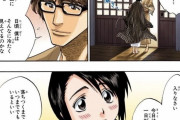 【画像】BLEACHの雛森さん、ガチで愛染とＨしていた