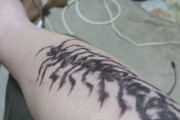 腕にムカデのタトゥーを自分で彫ってるけどダル過ぎて吐きそう