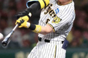 阪神・佐藤輝　ツバメキラーが弾丸14号「強い打球を打つ気持ちで」球団トップタイ打球速度178キロ